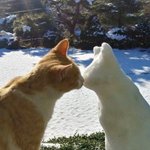 <b>istp</b>랑 어케 친해짐? ㅈㅂ…