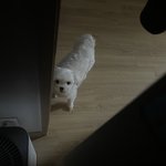 디발ㅠㅠ거실에서 <b>엄</b><b>빠</b>한테 암것도 못 얻어 먹었나봄