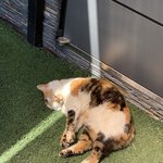 여기서 주무시면 안됩니다