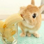 [드루와] 엥 <b>배민</b> 주문 요청사항 다른집 리뷰 이벤트 문구임