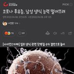 [19] 남자 확진되면 큰일나는 이유.<b>eu</b>