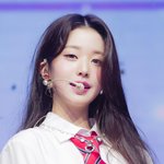 기사사진이 <b>홈마</b>사진 같은 아이돌