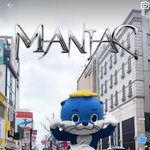 [스키즈] 이 수달분 귀여우셔