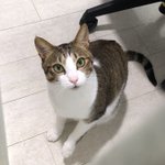 얘ㅈㄴ<b>미묘</b>임