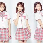 [드루와] 김채원 사쿠라 허윤진 <b>프듀시절</b>/르세라핌 비교