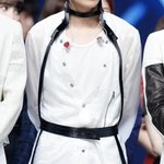 이ㅎㅏ정<b>vs</b>방탄새코디 하네스 비교