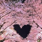 요즘 약간 꿈이랑 현실 <b>구분</b>이 안됨
