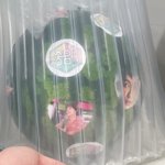[NCT칠프] <b>수박</b>에 스티커봐ㅋㅋㅋ