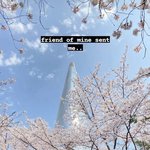 [군대] <b>쥬니</b> 벚꽃
