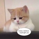 나 발표 ㅈㄴ <b>대충</b> 준비 했는데