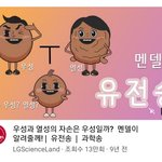 [이것좀봐줘] <b>젭알</b> 이 노래 들어봐 특히중3들