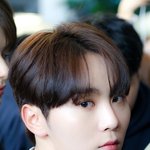 [세븐틴] 밑글 보다가 갑자기 궁금해진 추반