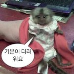 [댓글부탁해] 내 친구 노<b>노체</b> 쓰는데 진짜 개이상함