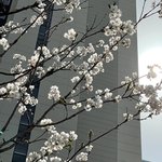[댓글부탁해] 야드라 사진 못찍음?