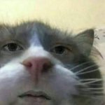 [댓글부탁해] <b>미용</b>학원 다니느뇨ㅏ람