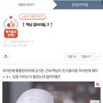 [드루와] 판 <b>이중성</b> ㄱㅂ..