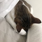 울고<b>영희</b>