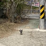 [드루와] 오늘 꽃구경 갔는데 <b>애기</b>가
