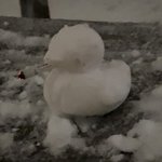 [댓글부탁해] 나 <b>담주</b> 한강가는데 ㅠㅠ