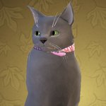 [댓글부탁해] 고양이 <b>외형</b> 좀 골라줘