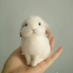 우리 <b>팬</b><b>톡</b> ㅈㄴ싫다
