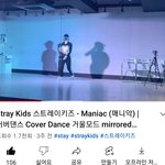 [스키즈] 이분 스테이신가봐