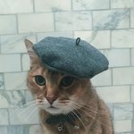 [방탄소년단] 애옹이가 베레모래!!