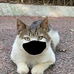 나 마기꾼임? 평가 좀