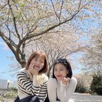 헐 김세정 <b>지효</b> 둘이 제주도감