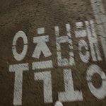 배<b>우상</b>이라는게