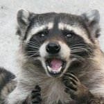 [댓글부탁해] <b>개똥</b> 밟아서 짝남이 자전거 태워줌2