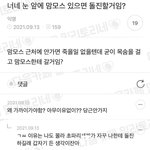 [댓글부탁해] 얘들아 이거 보고 웃엉