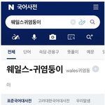 <b>웰시</b>코기 우리말표현이래 ㅋㅋ