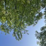 [댓글부탁해] 시골 공기 <b>조타</b>