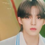 세븐틴 이번 디싱 컨셉말야