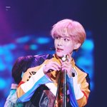 [NCT정우] 벚꽃 정우 사진 ~