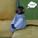 [NCT칠프] <b>숭이</b> 또 댓고와야할듯 만간