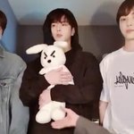 [더보이즈] ㅃㄴ 김영훈  결국 인형 놓고 감