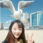 [드루와] 나같은 <b>체형</b> 있냐ㅋㅋㅋㅋ