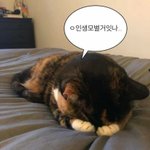 [드루와] 올해 너네 인생에서 역대급인 거 말 해<b>보자</b>