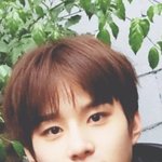 [NCT정우] 정우 귀 <b>뒷목</b> 다 보이는 짧머 기원