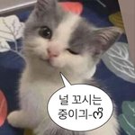[댓글부탁해] 나 마라탕 시켜<b>머구</b>까?