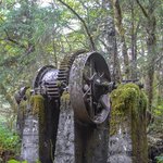 <b>문명</b>의 자연과 흔적