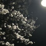 [드루와] 본인이 <b>섀도우</b> 팔레트를 쓴다 하는 사람
