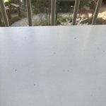 [댓글부탁해] 얘들아 <b>창문</b> 바로앞에 책상 붙여놓은 배치 ㅇㄸ