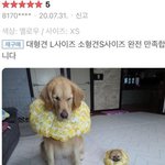 대학 자퇴하면 <b>긱사</b> 나와야돼?