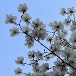어제 새벽에 올라온 <b>정은지</b> 팬카페글…