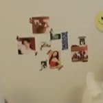 헐 이서 <b>방</b>에 <b>카리나</b> 사진 있음...