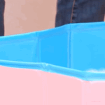 엔시티 인기1등