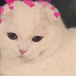 [댓글부탁해] 나 도끼병 오지는데 어캄